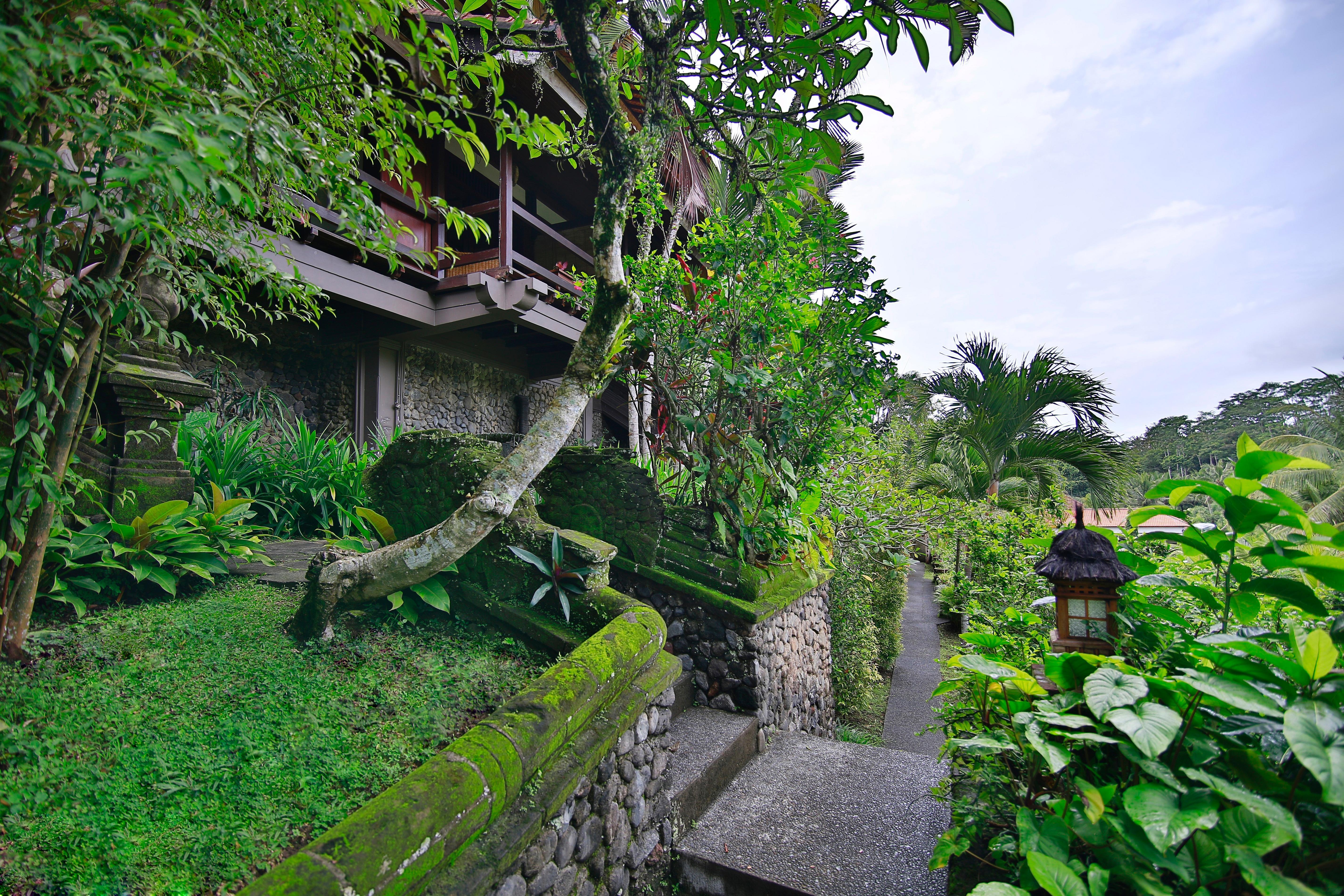 Bali Spirit Hotel And Spa, Ubud Exterior photo